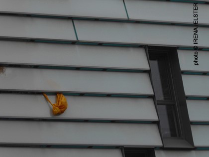 photo (c) Irena Elster Gilet jaune coincé